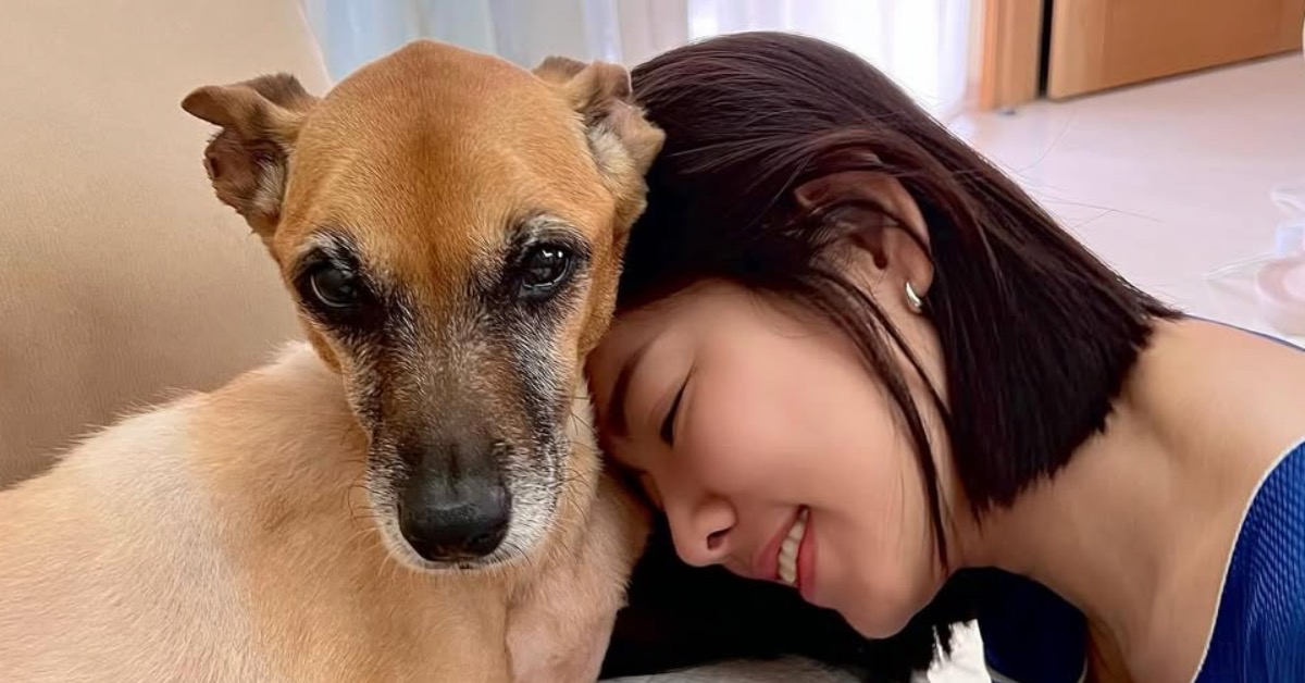 米可白愛犬錢錢上月離世。(圖/翻攝自IG @mimi00419)