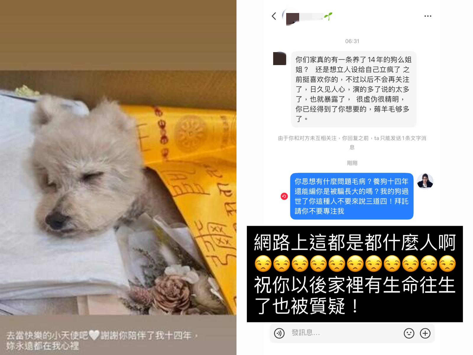 馬筱梅告別14年愛犬,反擊網友的酸言酸語。(圖/翻攝自馬筱梅Instagram)
