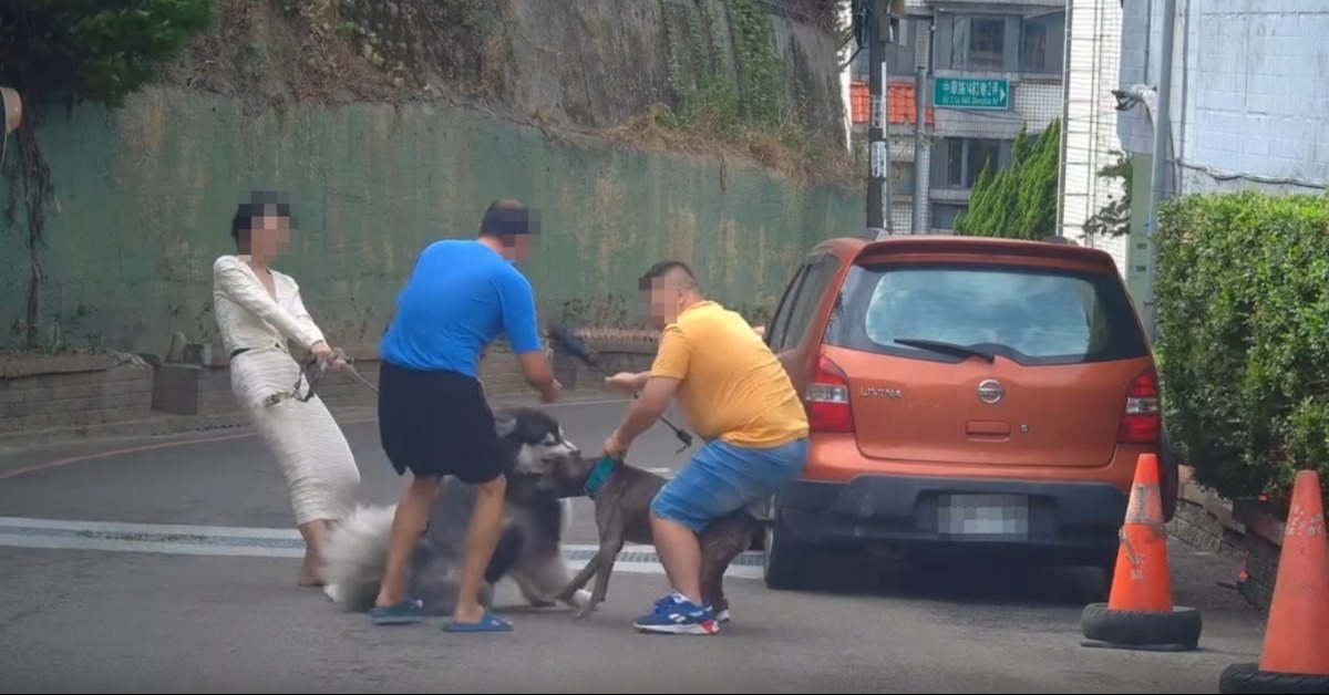 新竹縣傳出比特犬攻擊犬隻事件。（圖／Threads@davidyuyuyu授權）