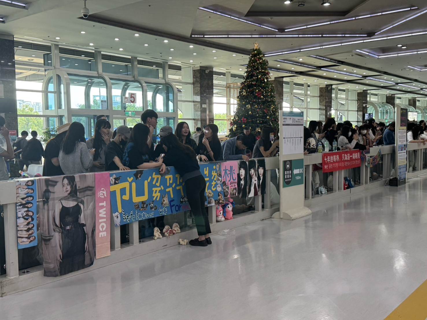 迎接子瑜回台灣，ONCE們應援做好做滿。（圖／記者楊雅芸攝）