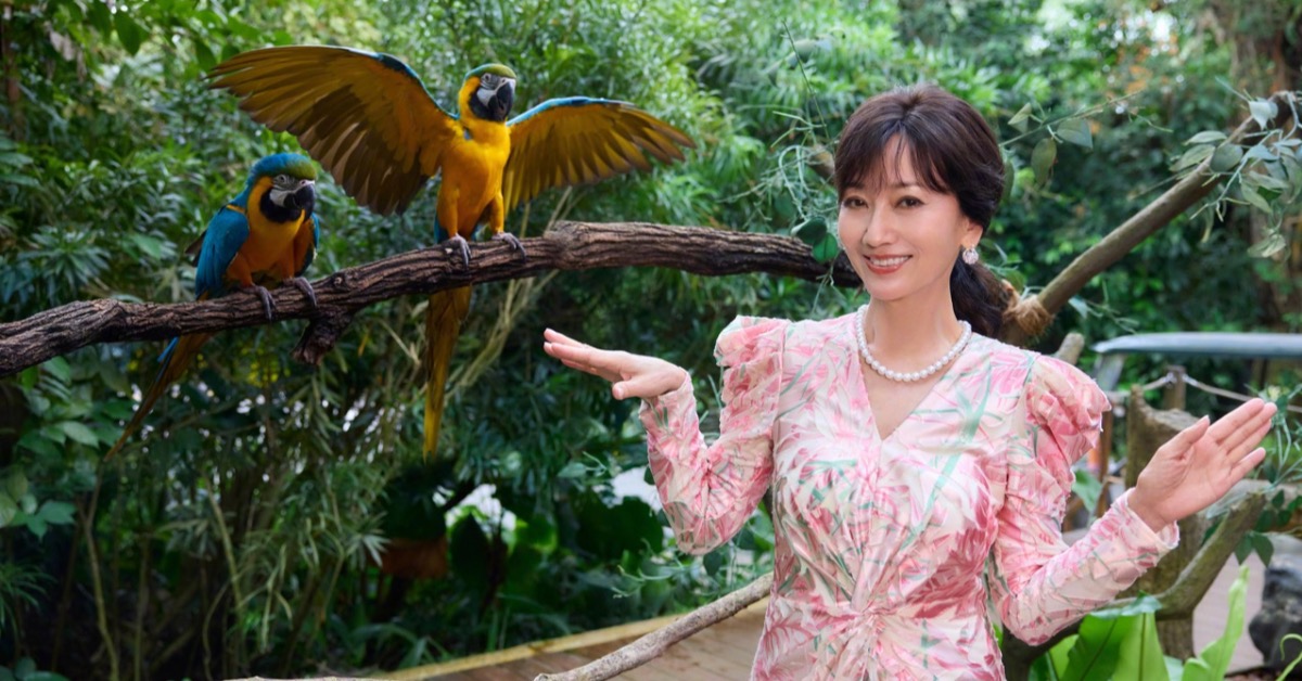 趙雅芝今年已72歲，狀態相當凍齡。（圖／翻攝自微博 @趙雅芝）