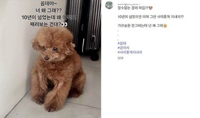 「點滴阿姨」A某的發文在SNS被瘋傳。（圖／翻攝自X）