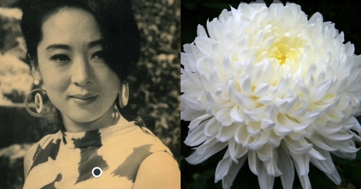 文熙景發文哀悼金智美離世。（圖／翻攝自文熙景Instagram）