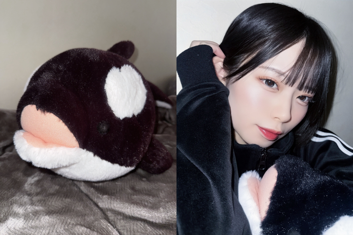 水宙翠解釋「爆乳」是虎鯨娃娃的嘴巴。（圖／翻攝自水宙翠X）