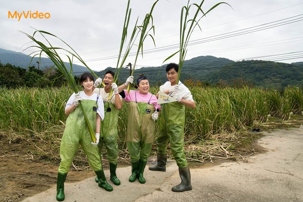 陳冠霖（右起）、林美秀、蔡昌憲與夏宇童組成旅伴，暢遊北北基。（圖／台灣大哥大MyVideo提供）