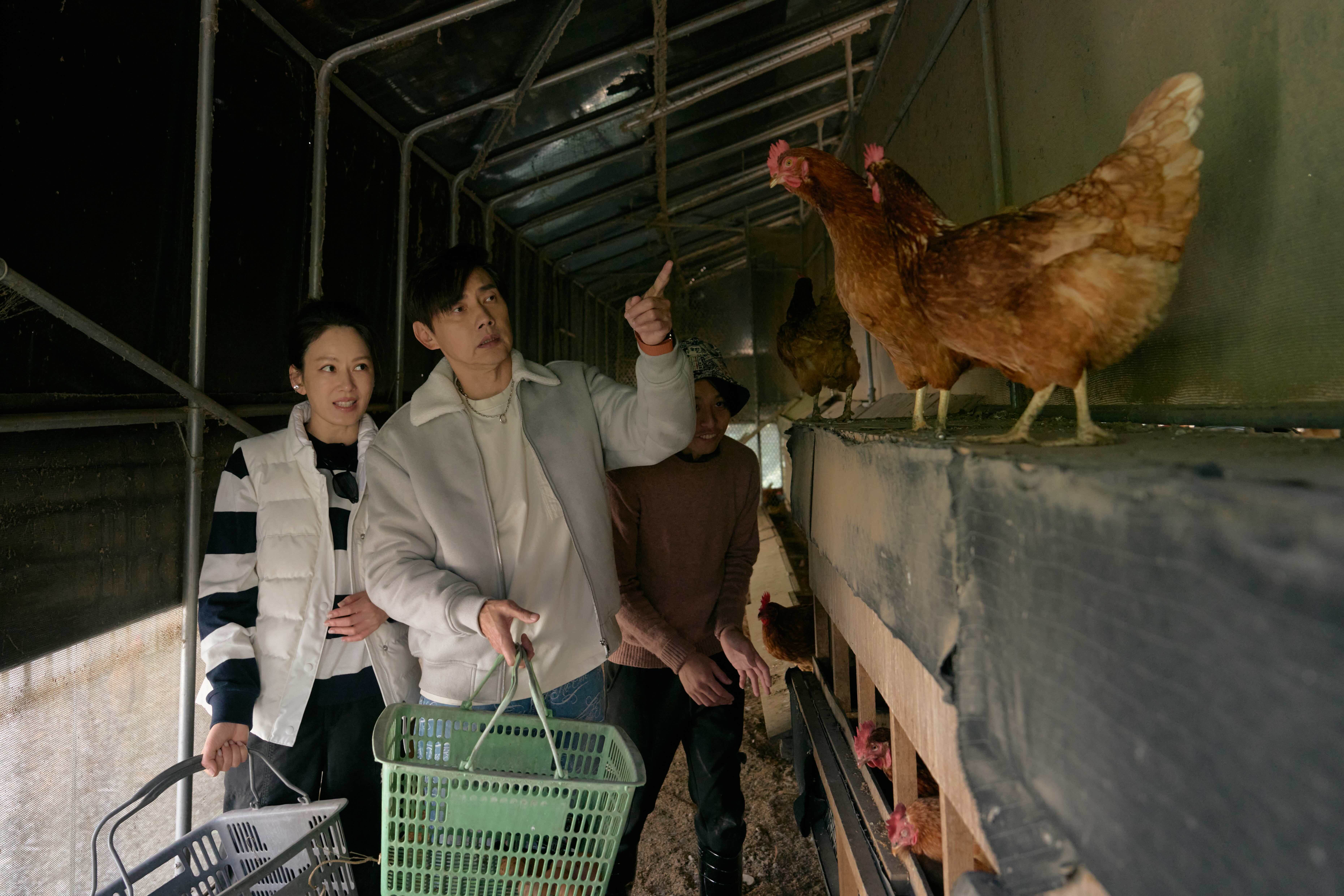 Melody與資深前輩包偉銘全副武裝進入雞舍。（圖／好看娛樂提供）