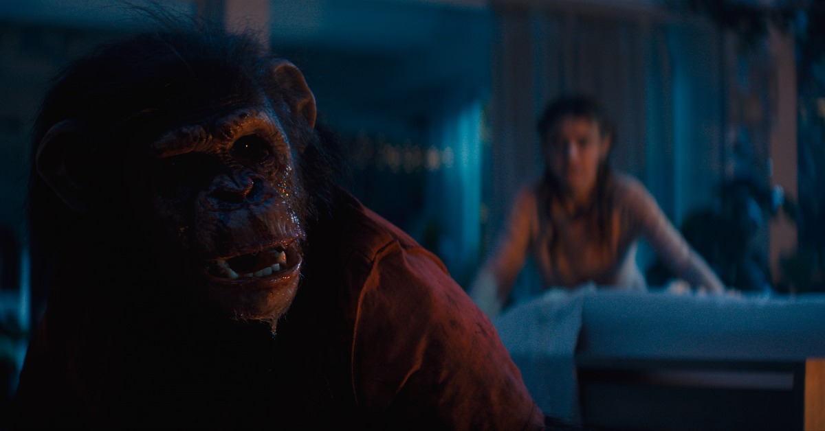 《猩瘋血雨》黑猩猩演員與特技替身特訓上陣完美演出。（圖／UIP）