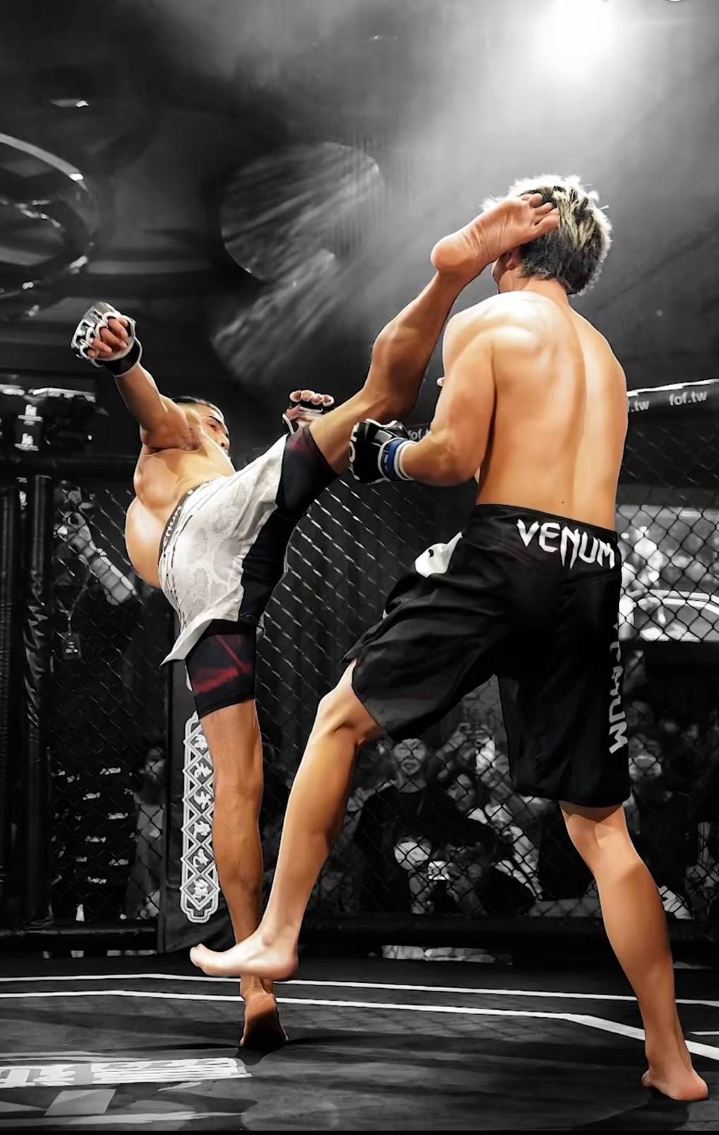 台灣「燒打雞」韓森曾奪下第19屆拳願明星格鬥賽冠軍、擁有高人氣。（圖／TWG提供）