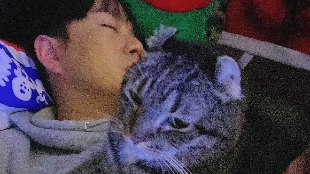 李岳22年愛貓小花離世。（圖／種瓜得瓜工作室提供）