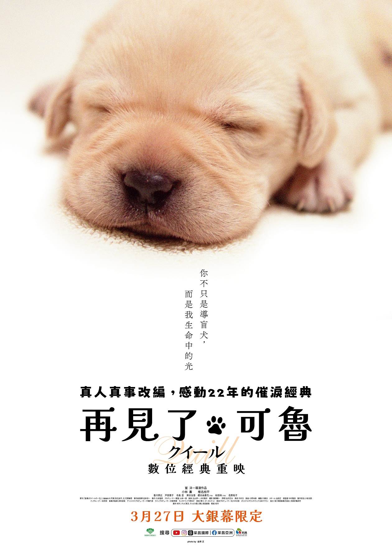 《再見了，可魯》數位版海報。（圖／采昌國際多媒體提供）