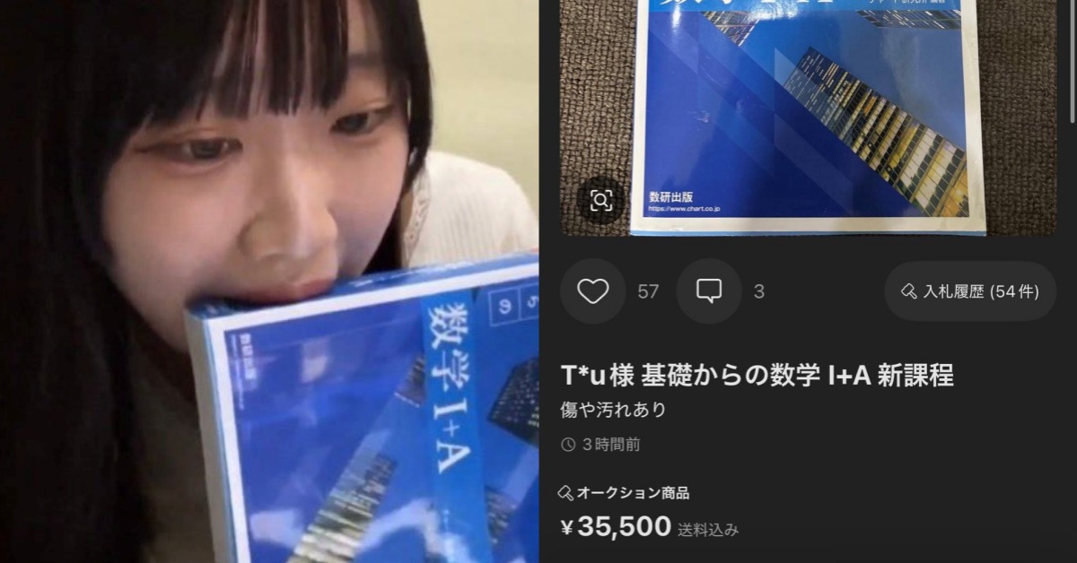 日本網紅「重考兩年的大姐頭（二浪姉貴）」販售原味參考書。（圖／翻攝自X）