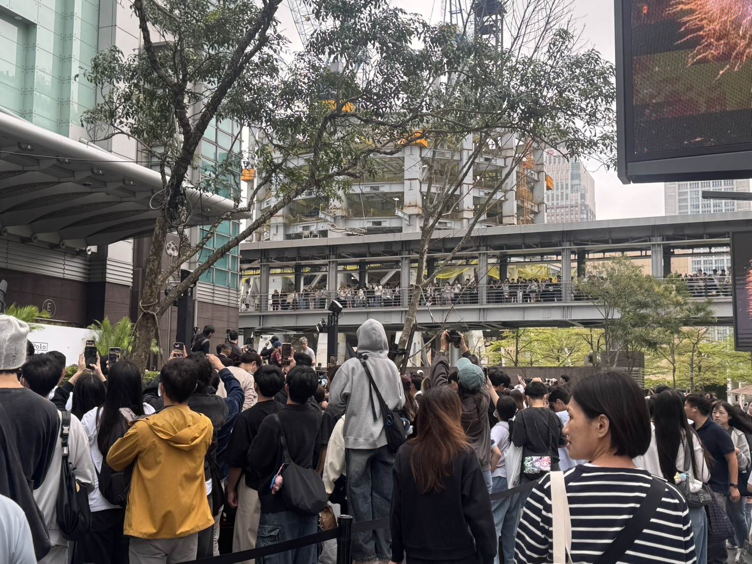韓國女團TWICE成員Sana現身台北101，現場聚集千名ONCE。（圖／記者楊雅芸攝）