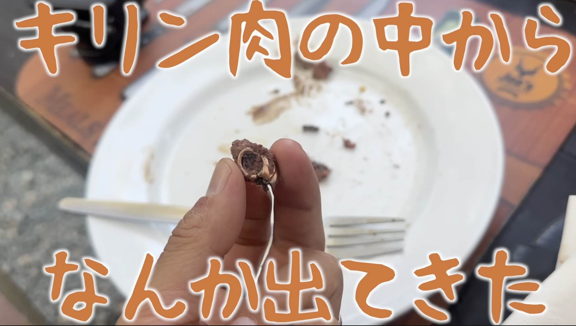 日本YouTuber近藤大真在納米比亞吃長頸鹿肉，意外吞入子彈碎片。（圖／翻攝自とったび YouTube）