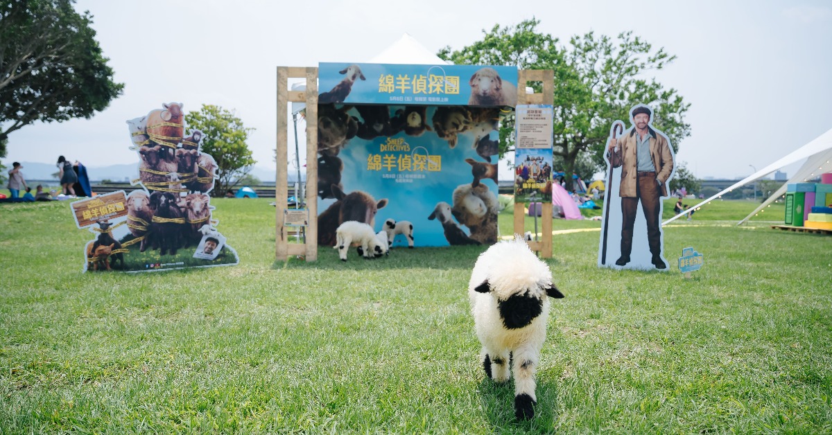 毛絨絨本尊登場VOGUE風格野餐日，電影《綿羊偵探團》打造最可愛破案現場。（圖／索尼影業）