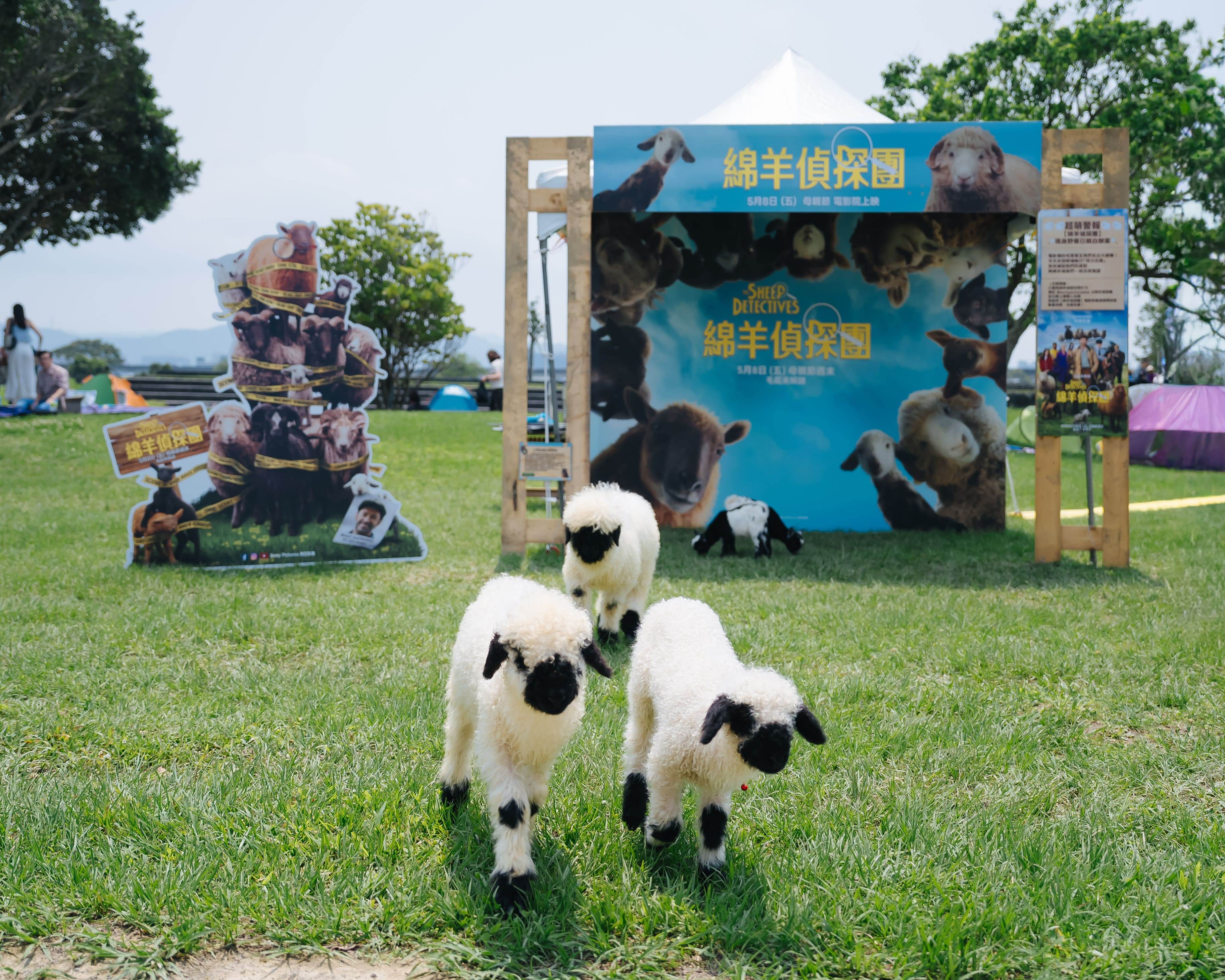 毛絨絨偵探驚喜現身。（圖／索尼影業）