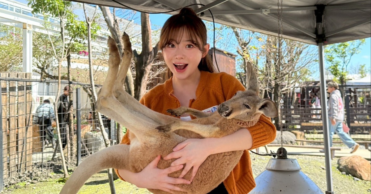 金娜妍抱著澳洲國寶。（圖／民視提供）