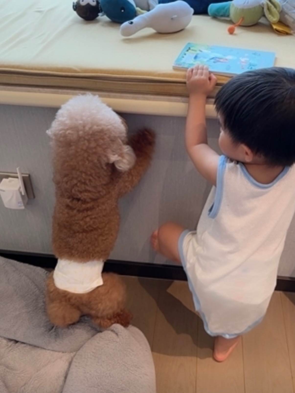愷樂的大兒子與毛小孩幸福畫面。（圖／翻攝自愷樂Threads）