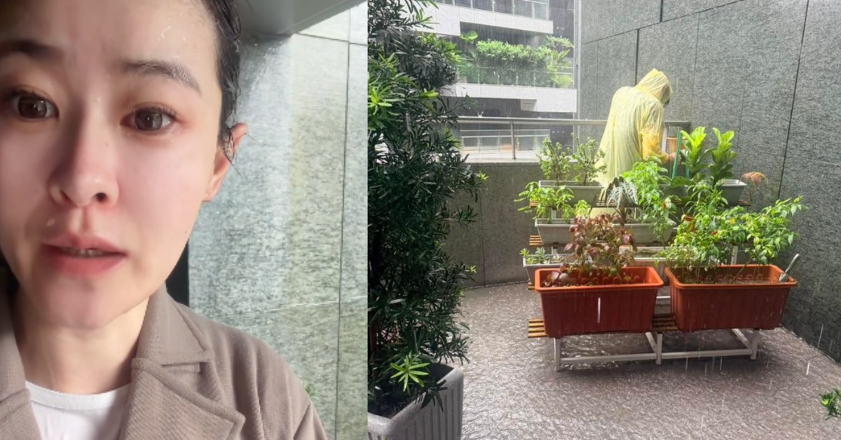 影／豪雨毀了15坪露台！女星豪宅「淹成池塘」崩潰求救