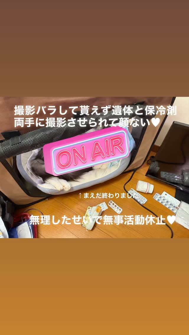 田中寧寧被迫帶著寵物遺體拍片。（圖／翻攝自田中寧寧Instagram）