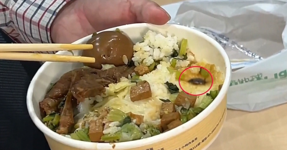 演員沈昊澄今（30日）在高鐵上食用台鐵排骨便當，發現疑似蟑螂異物並嘔吐。（圖／東森新聞）