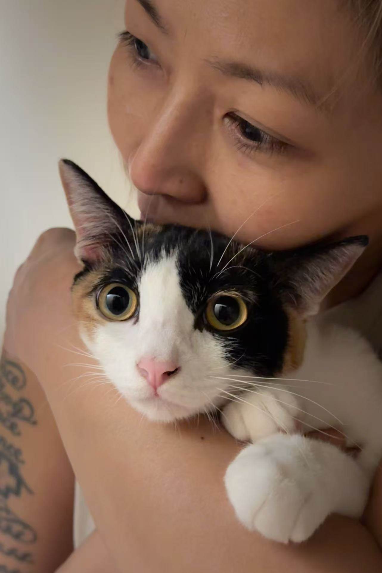 林曉培與愛貓凱特合影。（圖／杰思國際娛樂提供）