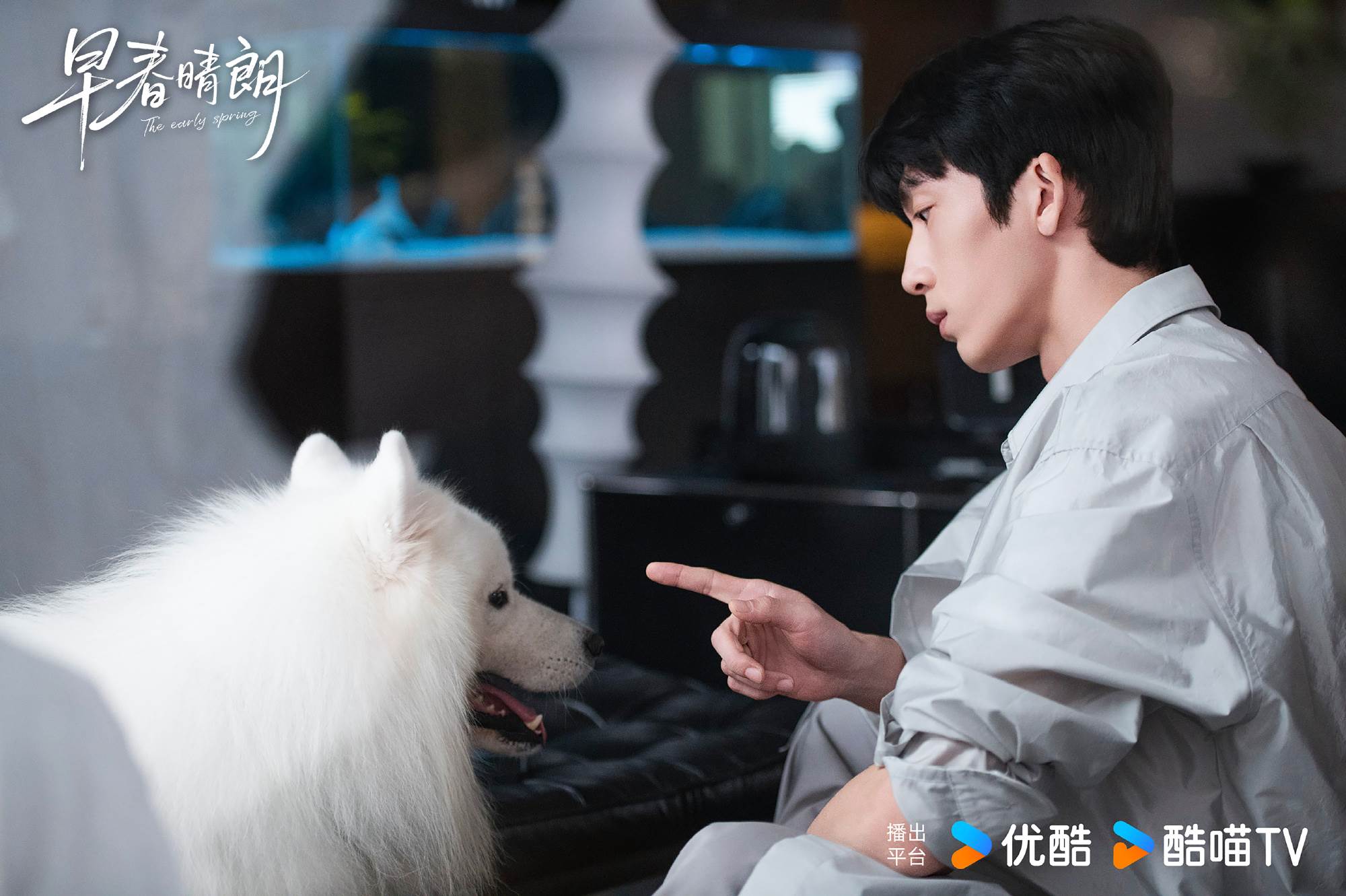 《早春晴朗》欒念和尚之桃也養有一隻薩摩耶盧克。（圖／翻攝自微博）