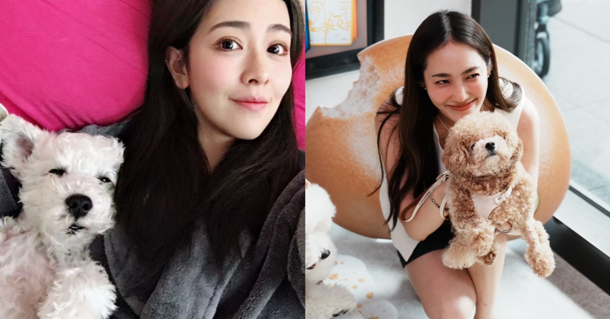 丁巧唯（左）與愛犬雪納瑞「咕嘰」，王棠云見習當毛小孩家長。（圖／帕奇特小屋）